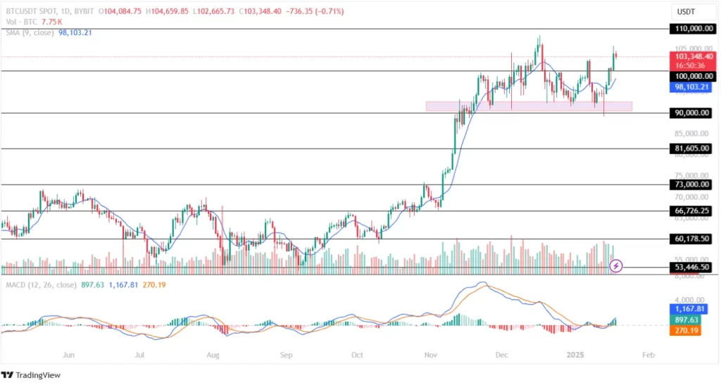 BTC Price Analysis 18-1-25