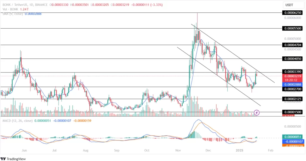 Bonk Price Analysis 18-01-2025